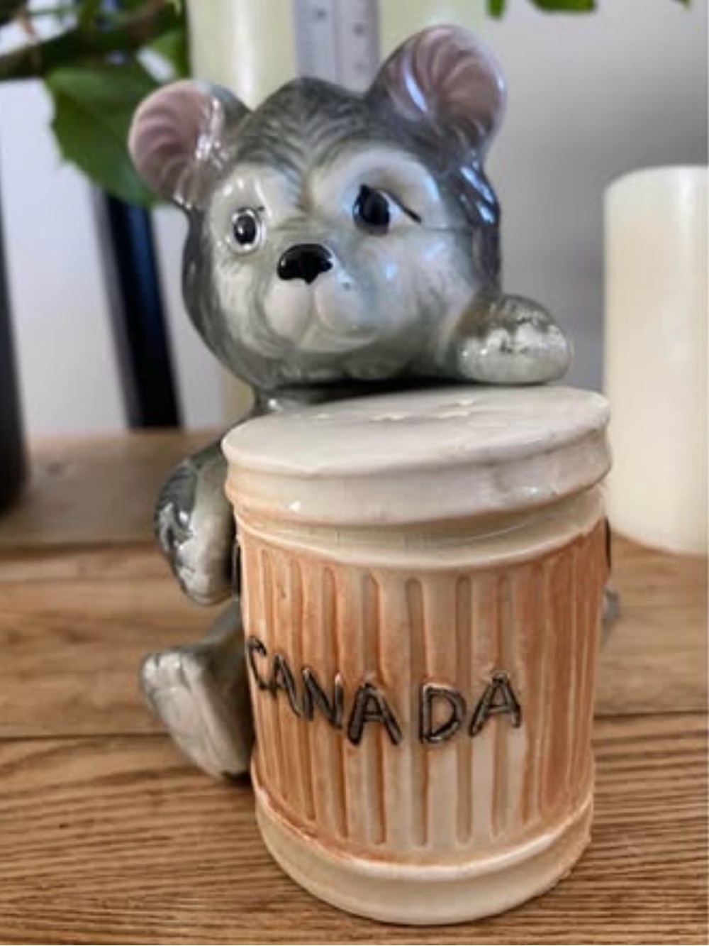 Vintage Ceramic Bear & Trash Can Salt and Pepper Shakers | Canada Souvenir